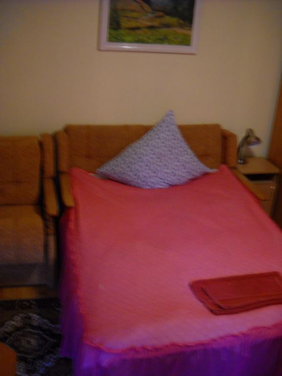 Hôtel Smerekova Hata à Yasinya Extérieur photo