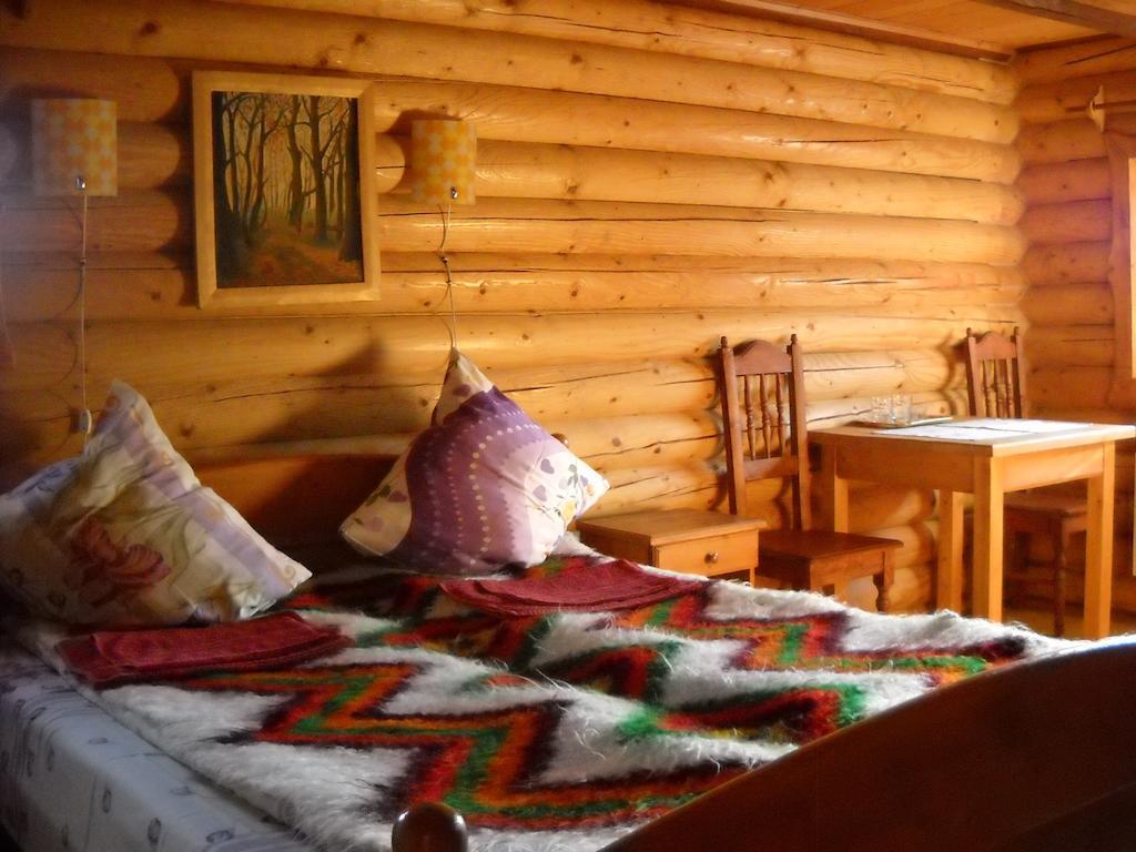 Hôtel Smerekova Hata à Yasinya Extérieur photo