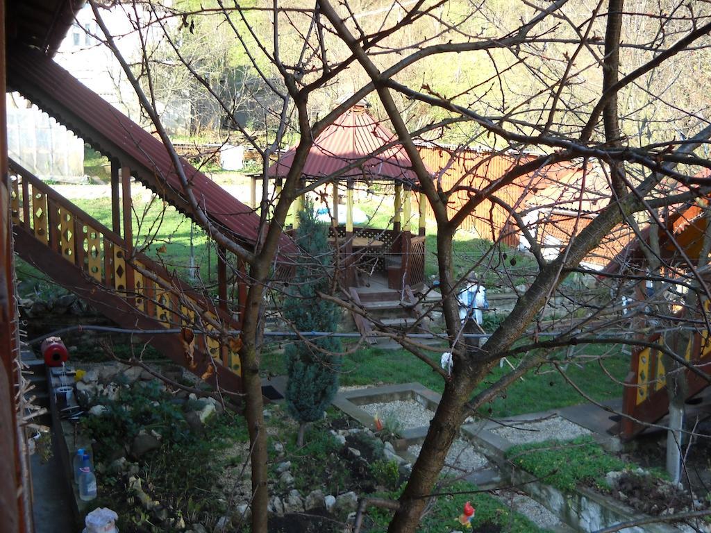 Hôtel Smerekova Hata à Yasinya Extérieur photo