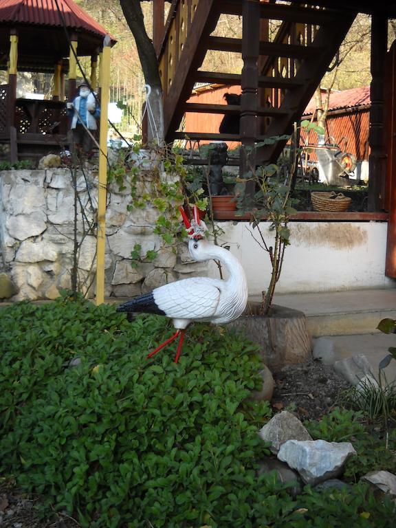 Hôtel Smerekova Hata à Yasinya Extérieur photo